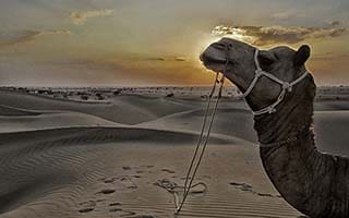 jaisalmer-thumbnail